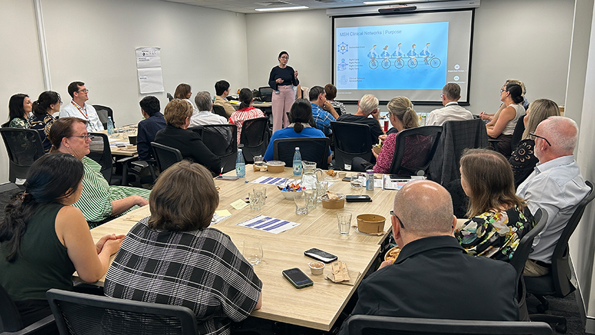 Woman addressing a room full of professionals