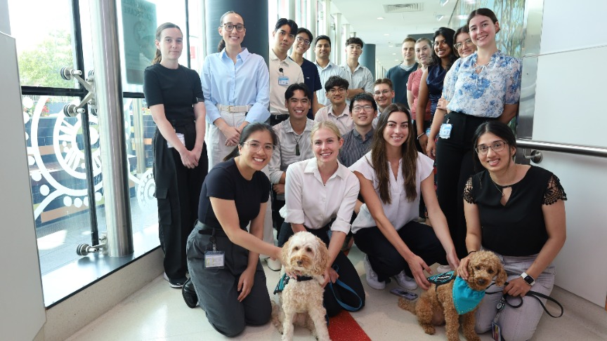 Medical interns gathered in hospital hallway with two therapy dogs.