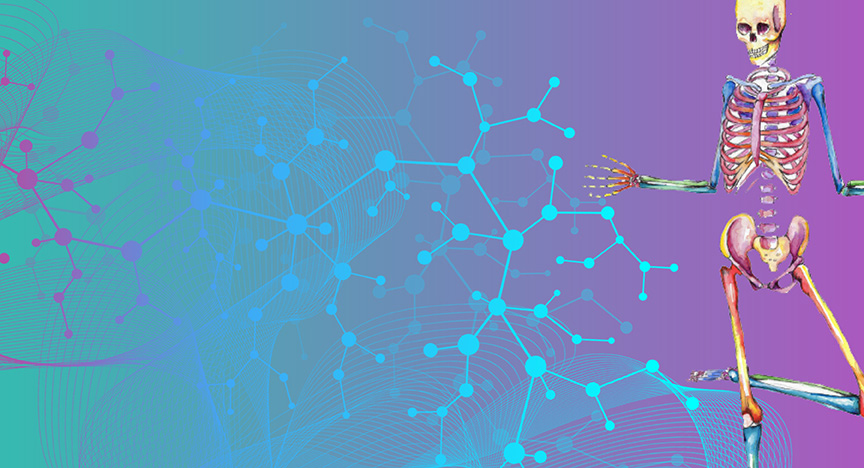 A colorful illustration of a human skeleton on the right side, with abstract molecular structures in blue and purple on the left.